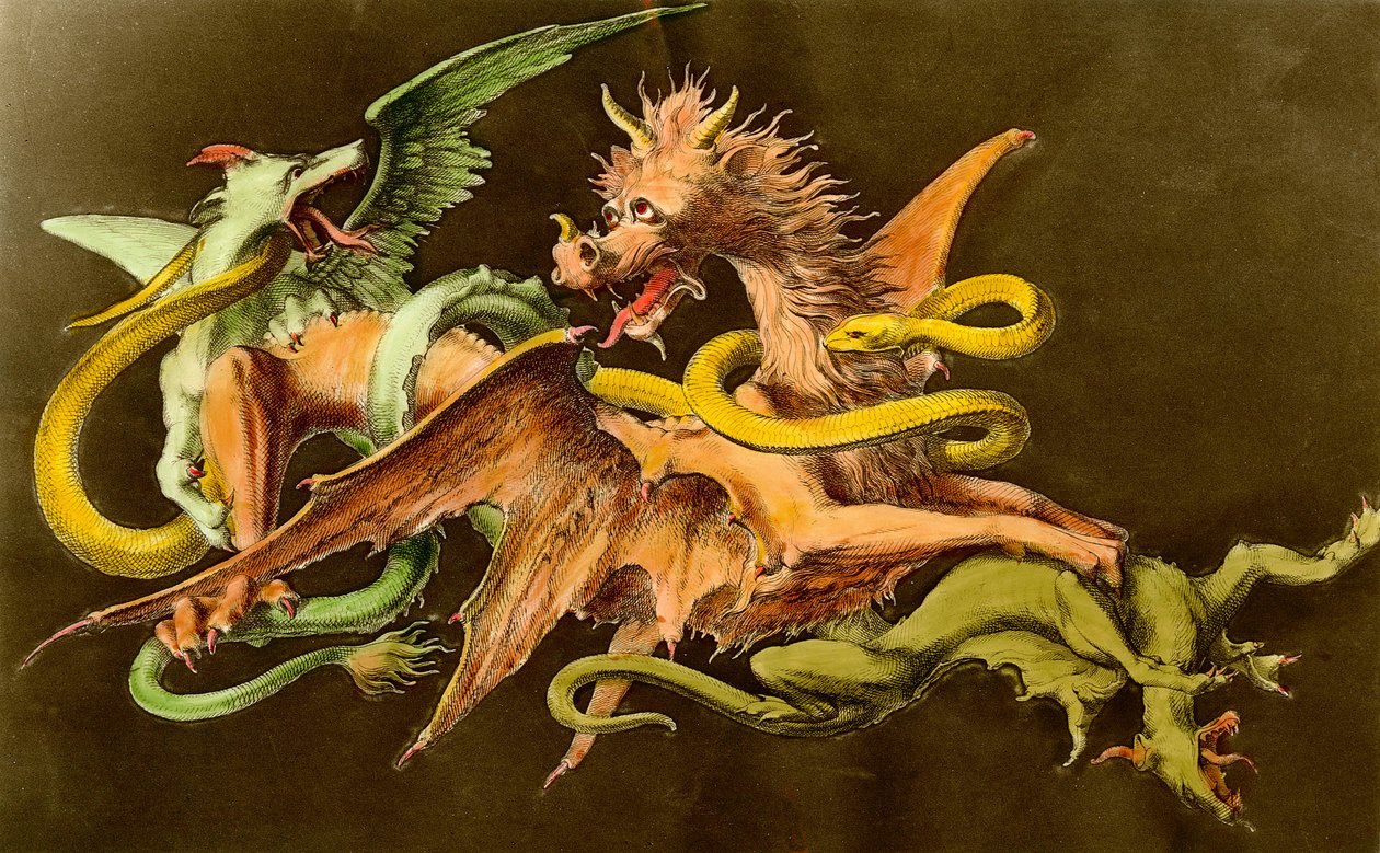 Chimeres En drage som kjemper mot to monstre. Gravering fra 1800-tallet. av Unknown artist
