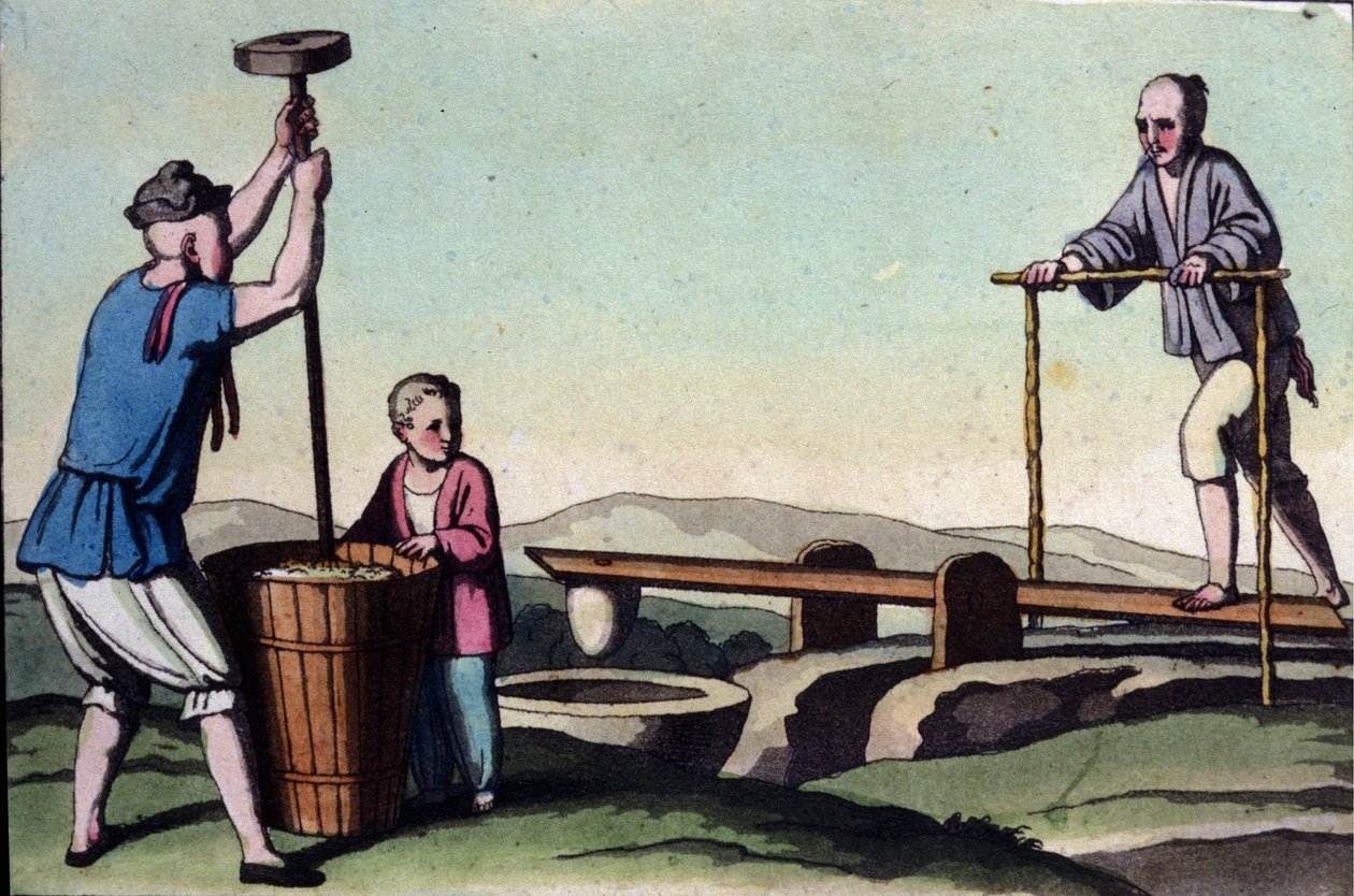 Kina, til venstre avskallingen av ris og til høyre reguleringen av vann til stiklingene - i "The Old and Modern Costume" av Jules Ferrario av Unknown artist