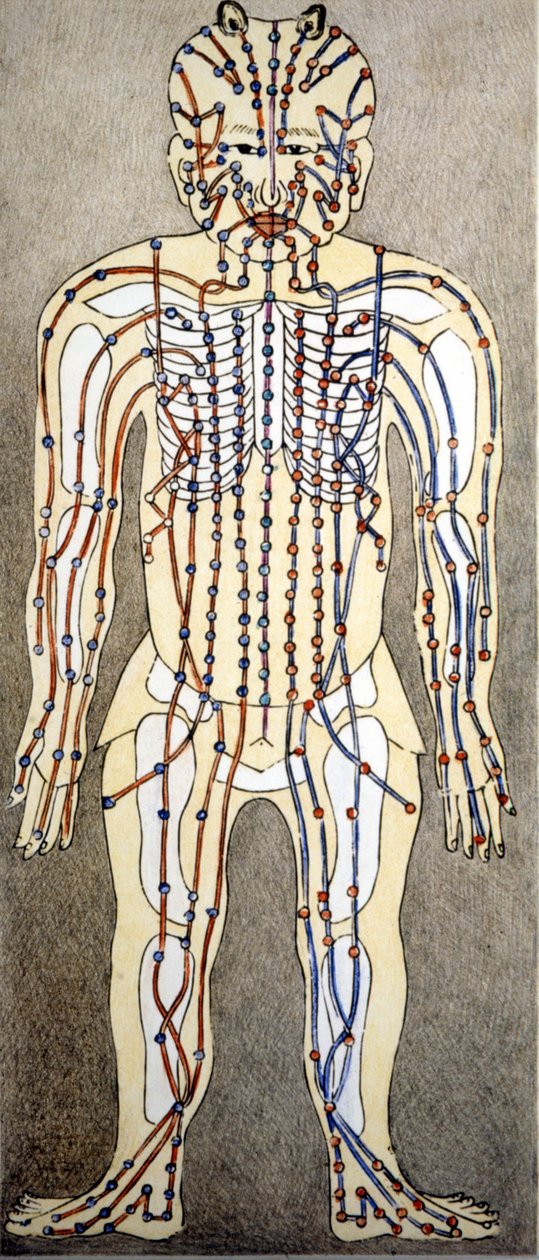 Kinesisk medisin. Strømmene i kroppen hvor du skal bruke akupunktur. 1800-tallet. av Unknown artist