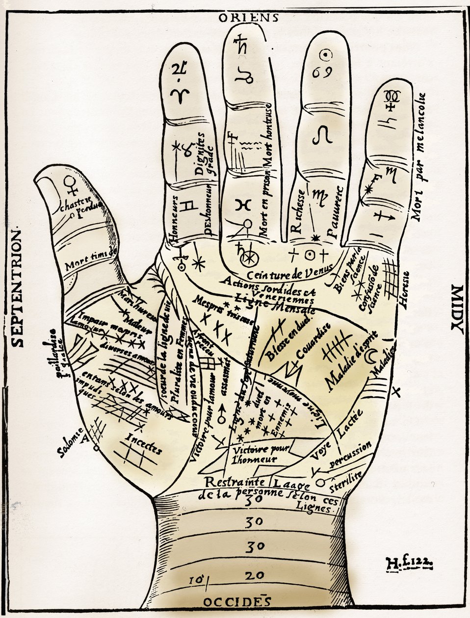 Chiromancy - PALMISTY CHART - Planetary and zodiacal diagram of the left hand - Woodcut from Jean Belot