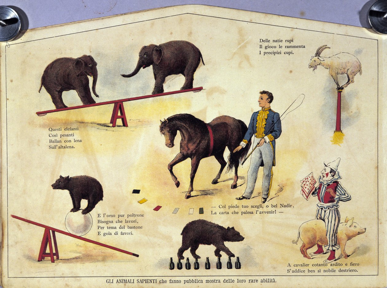 Sirkus: et brett som representerer forskjellige typer show av lærde dyr med elefanter, en geit, en bjørn, hester og en gris. Illustrasjon av 1800-tallet av Unknown artist