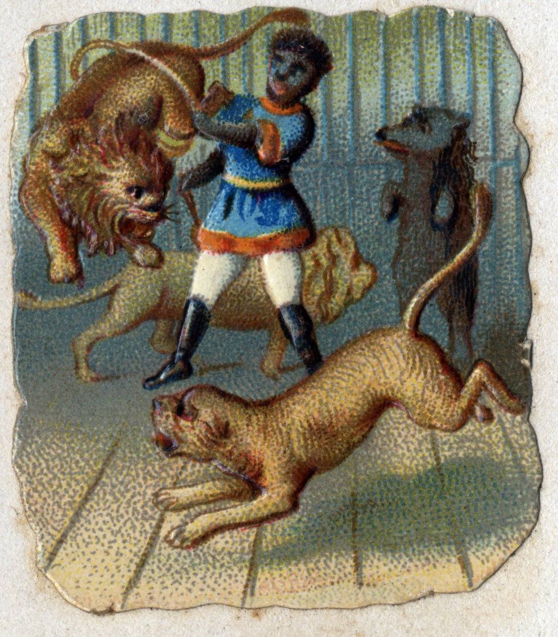 Sirkus: en temmer i et bur med ville dyr. av Unknown artist
