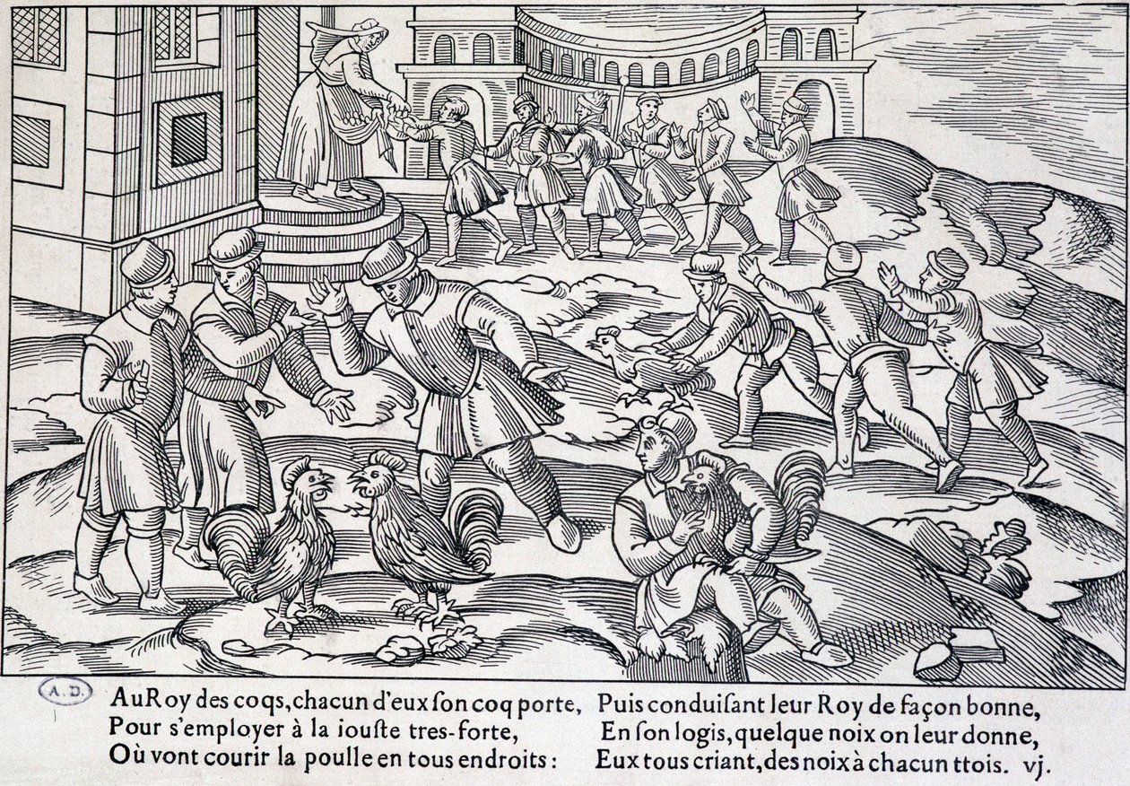 Hanekamp, XVI-XVII århundre av Unknown artist
