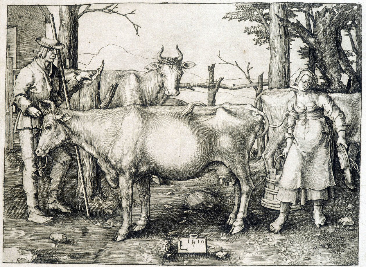 Cowl og meieri i Holland av Unknown artist
