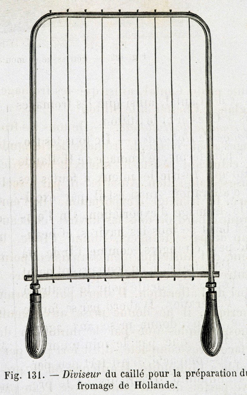 Ostemassedeler for tilberedning av nederlandsk ost - i "" Industriens underverk"" av Louis Figuier av Unknown artist