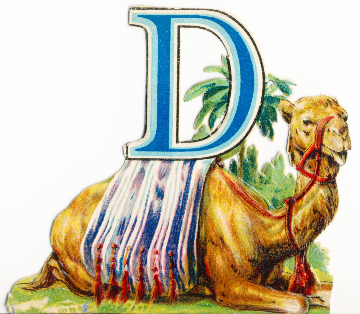 D: Dromedar av Unknown artist