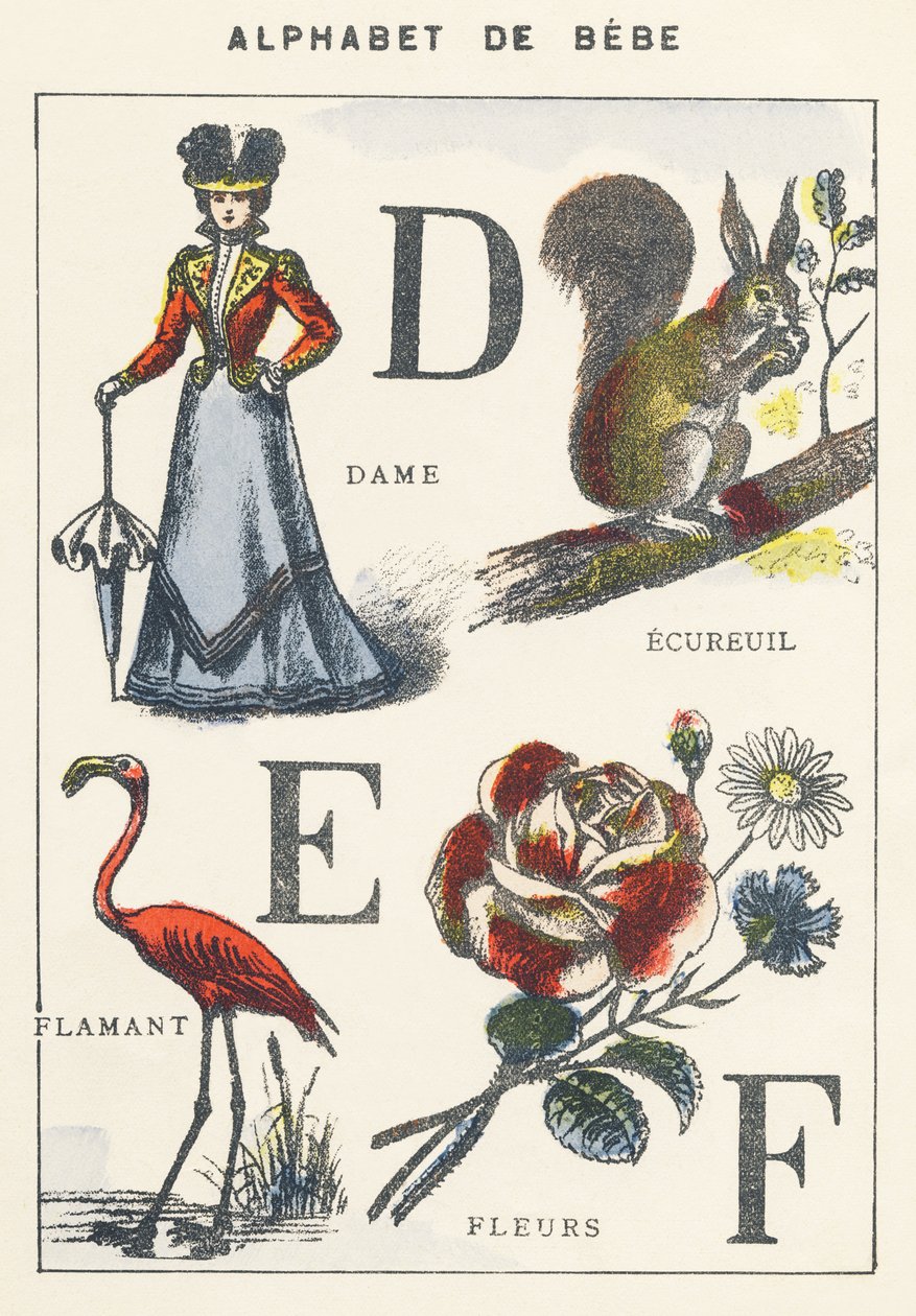 D E F: dame, ekorn, flamingo, blomster av Unknown artist