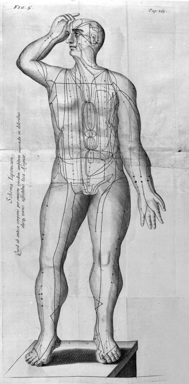 De Acupunctura av W.Ten Rhijn. London 1683. Første vestlige tekst som omhandler akupunktur. av Unknown artist