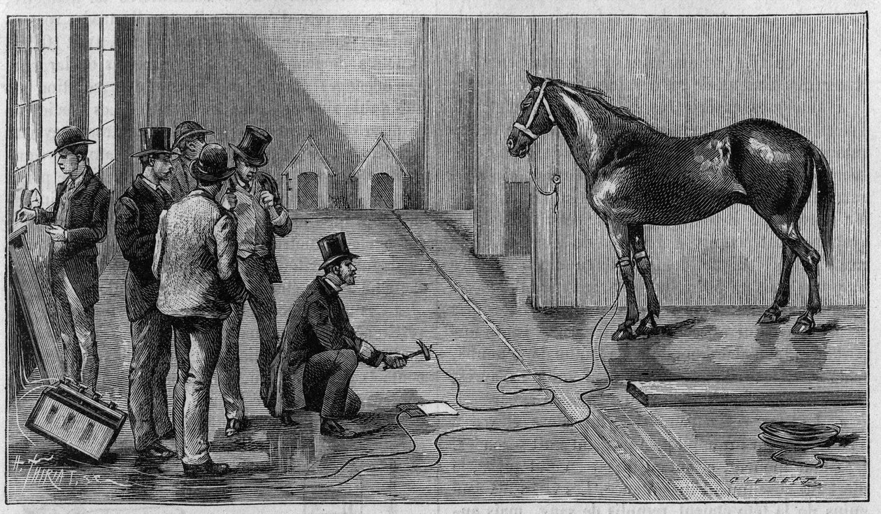 Death by Electricite: en hest dreper av elektrisitet under et eksperiment utført ved Laboratory of Edison, Orange (USA). Gravering i "" La Nature: revue des sciences et de leurs applications aux arts et a l