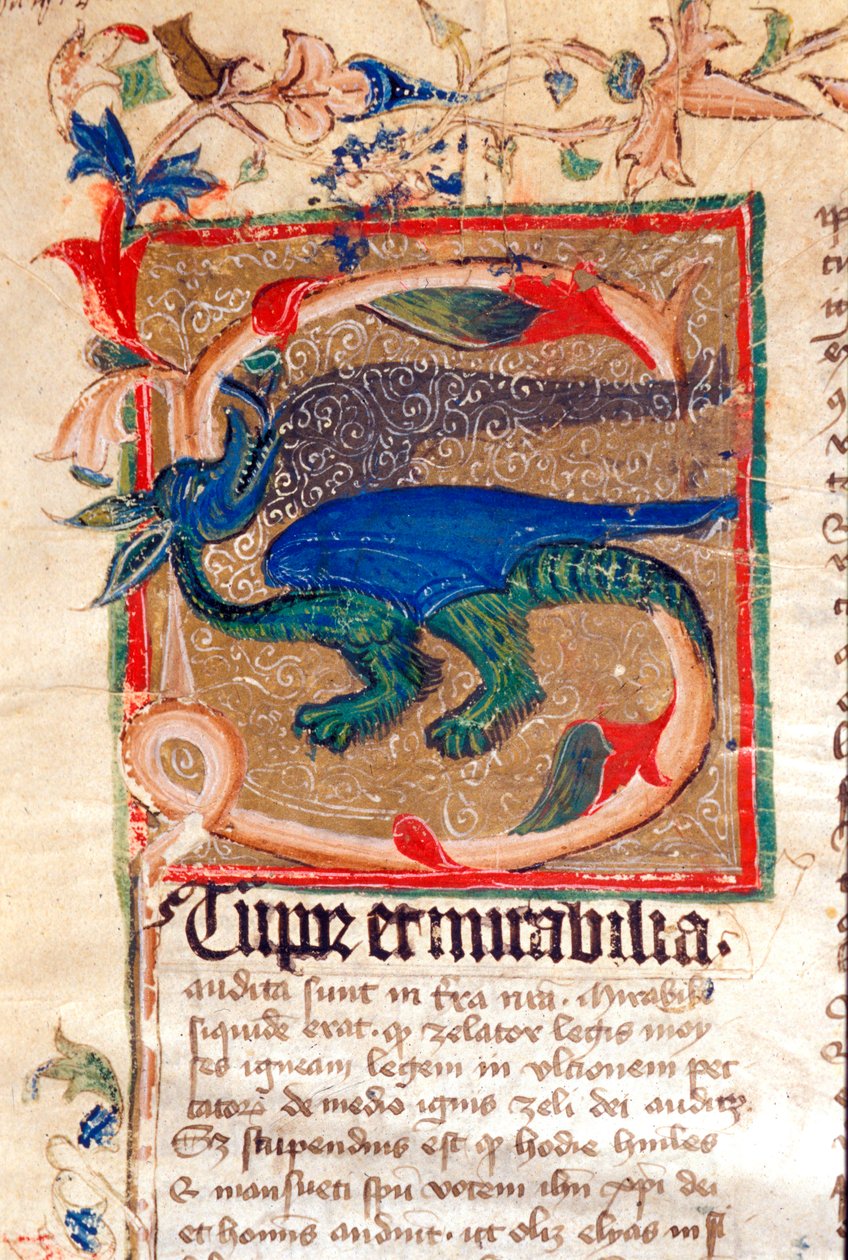 Dragon Decoree Lettrine Detalj av manuskript fra 1300-tallet av Unknown artist