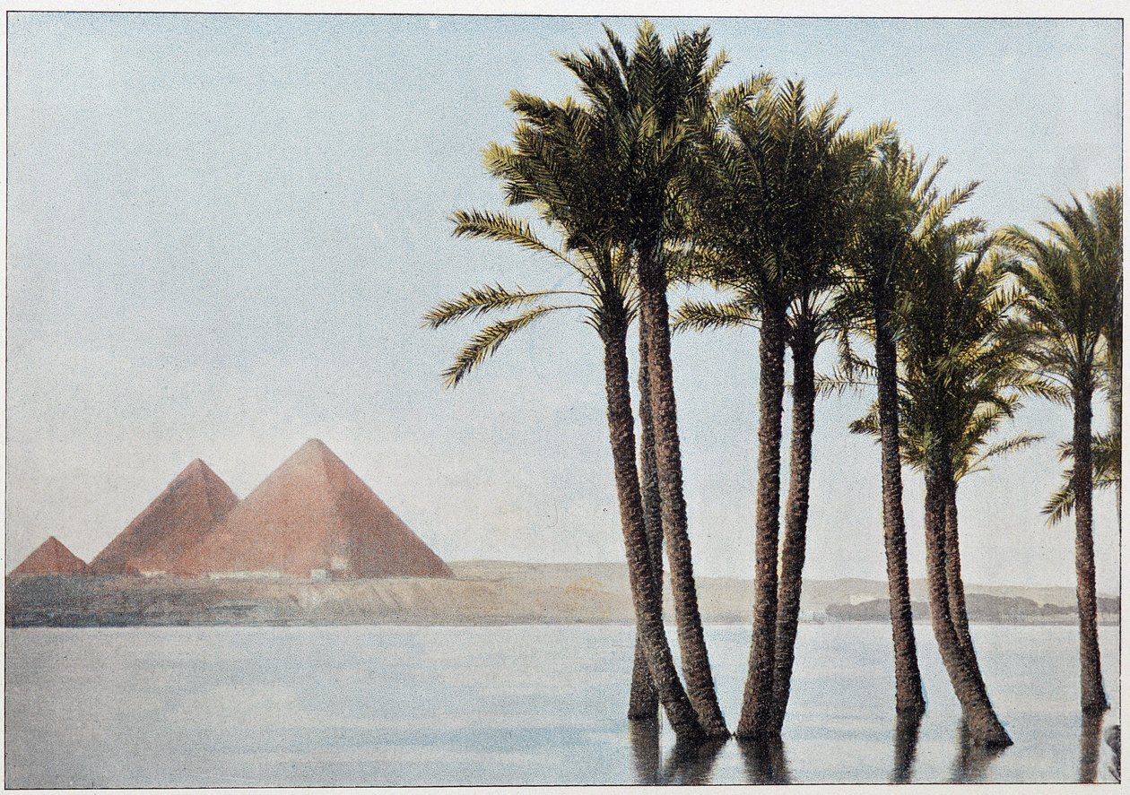 Egypt: flom Nilen og pyramidene i Giza (Gizeh, Gizeh, Giza). av Unknown artist