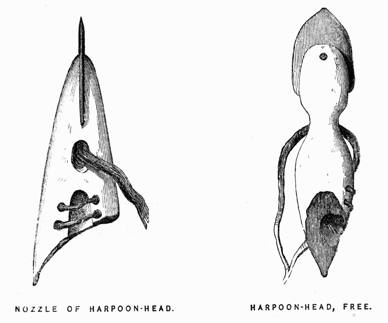 Eskimo Harpuner - Elisha Kent Kane, Artic Exploration i årene 1853-1855, Philadelphia, Childs og Peterson av Unknown artist