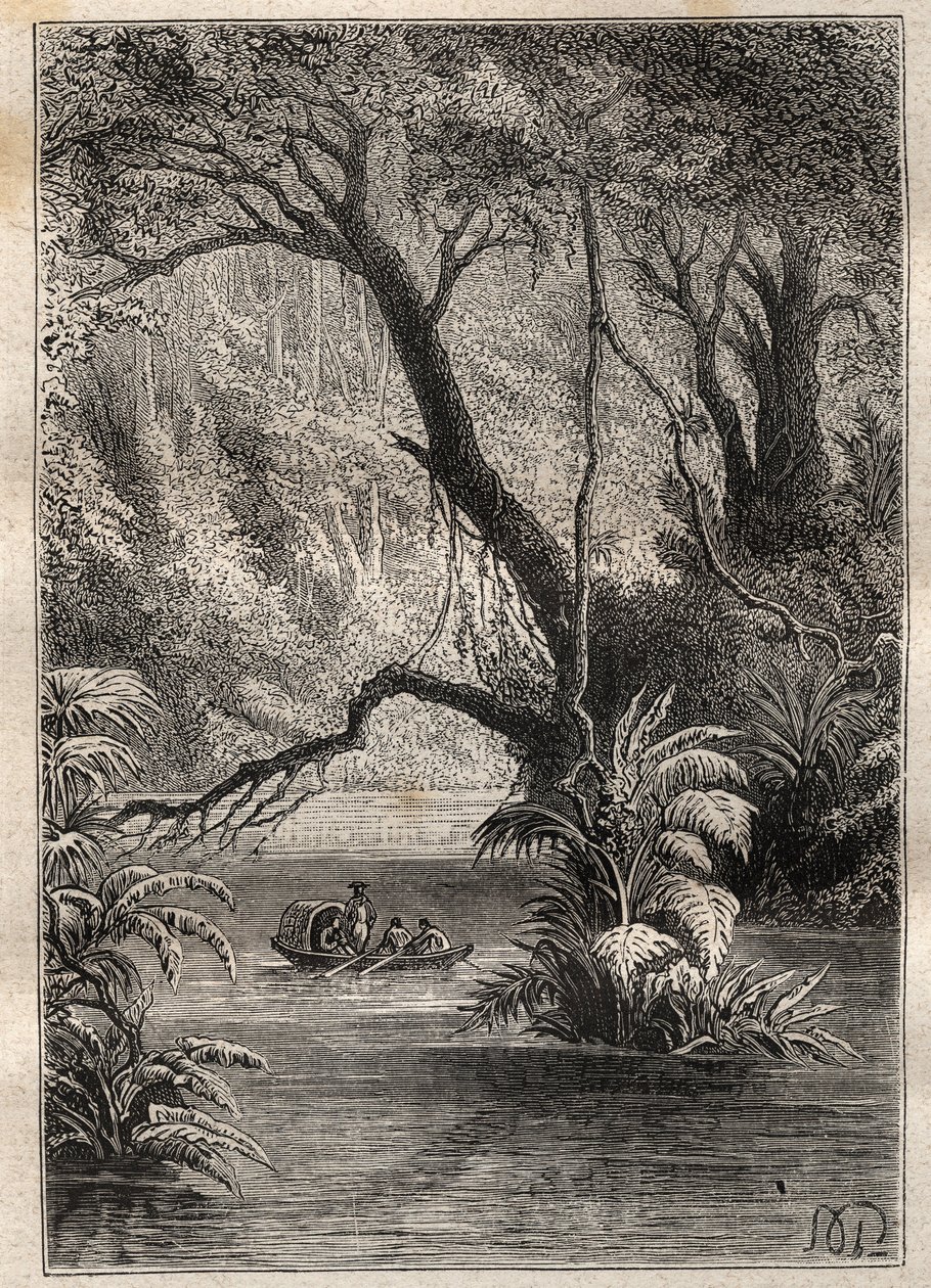 Ekspedisjon til Amerika (1799-1804) av Alexander von Humboldt (1769-1859) og Aime Bonpland (1773-1858): oppdagelsesreisende går ned til Orenoque, omgitt av de gigantiske trærne i Amazonasskogen (Cano Pimichin, Venezuela) - illustrasjon tatt fra «The Great av Unknown artist