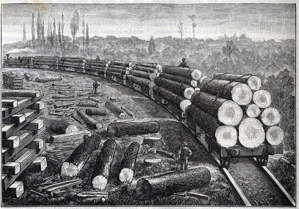Utnyttelse av USAs skoger. Midlertidige jernbaner med trespor. Vogne som bærer trestammer. Gravering i "" La Nature"" av Unknown artist