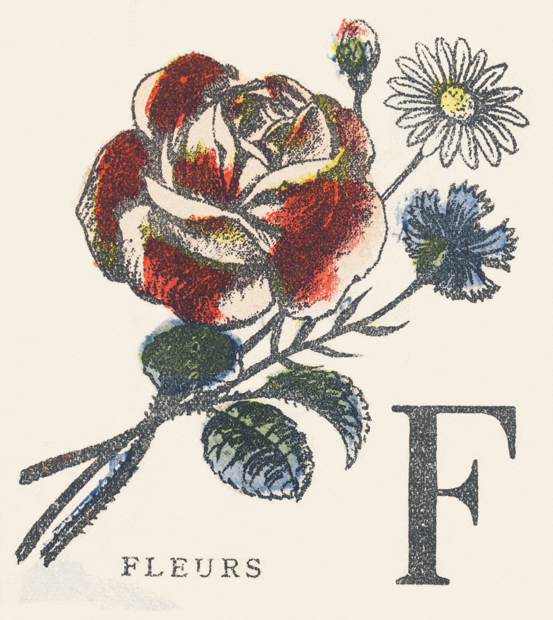 F: blomster av Unknown artist