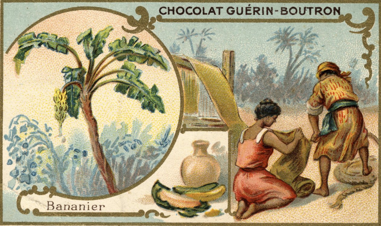 Fabric made with the fiber of banana skins. Chromolithography, packaging of Guérin Boutron chocolates. av Unknown artist