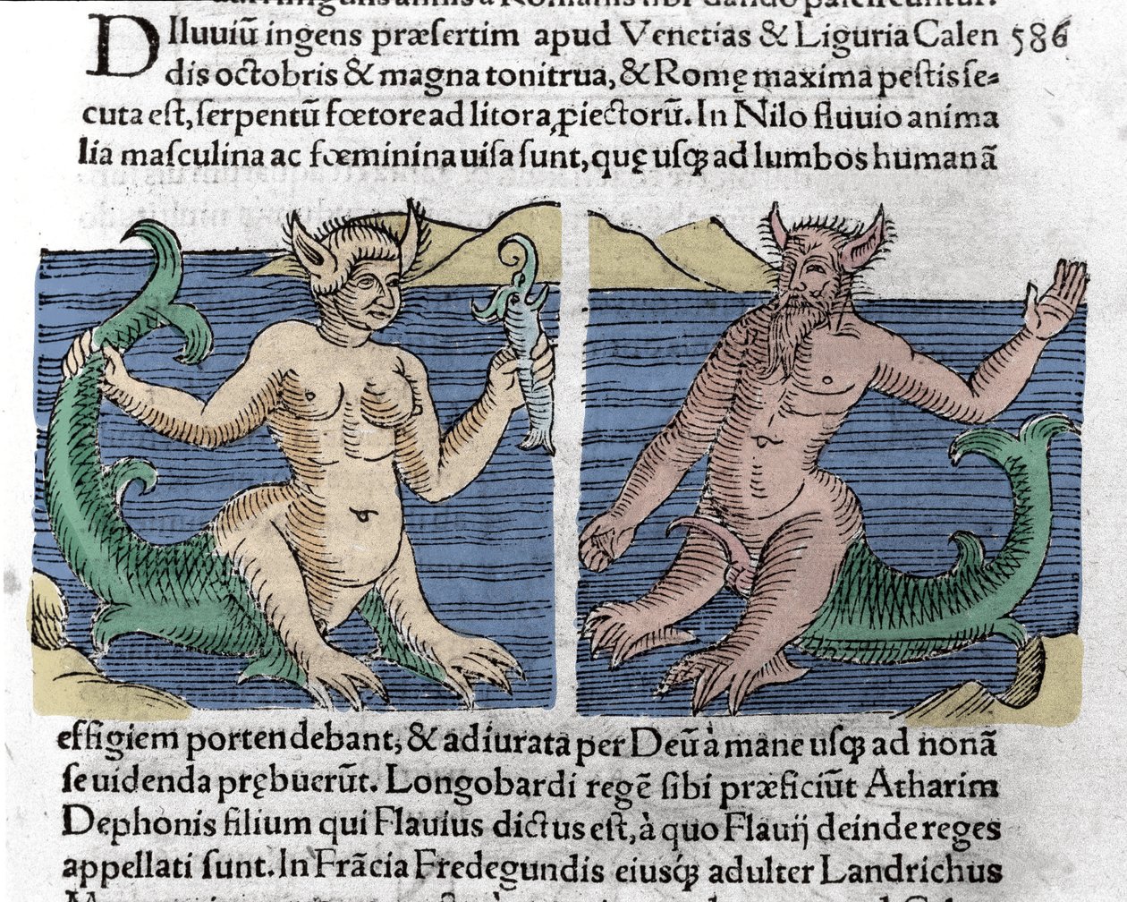 Fantastiske skapninger: En salamander og en sirene sett i Nilen. Gravering fra "Le livre des prodiges" (Chronicle of the prodigals and portents of Basileae) av Wolfhart (Conrad Lycosthene) 1557 av Unknown artist