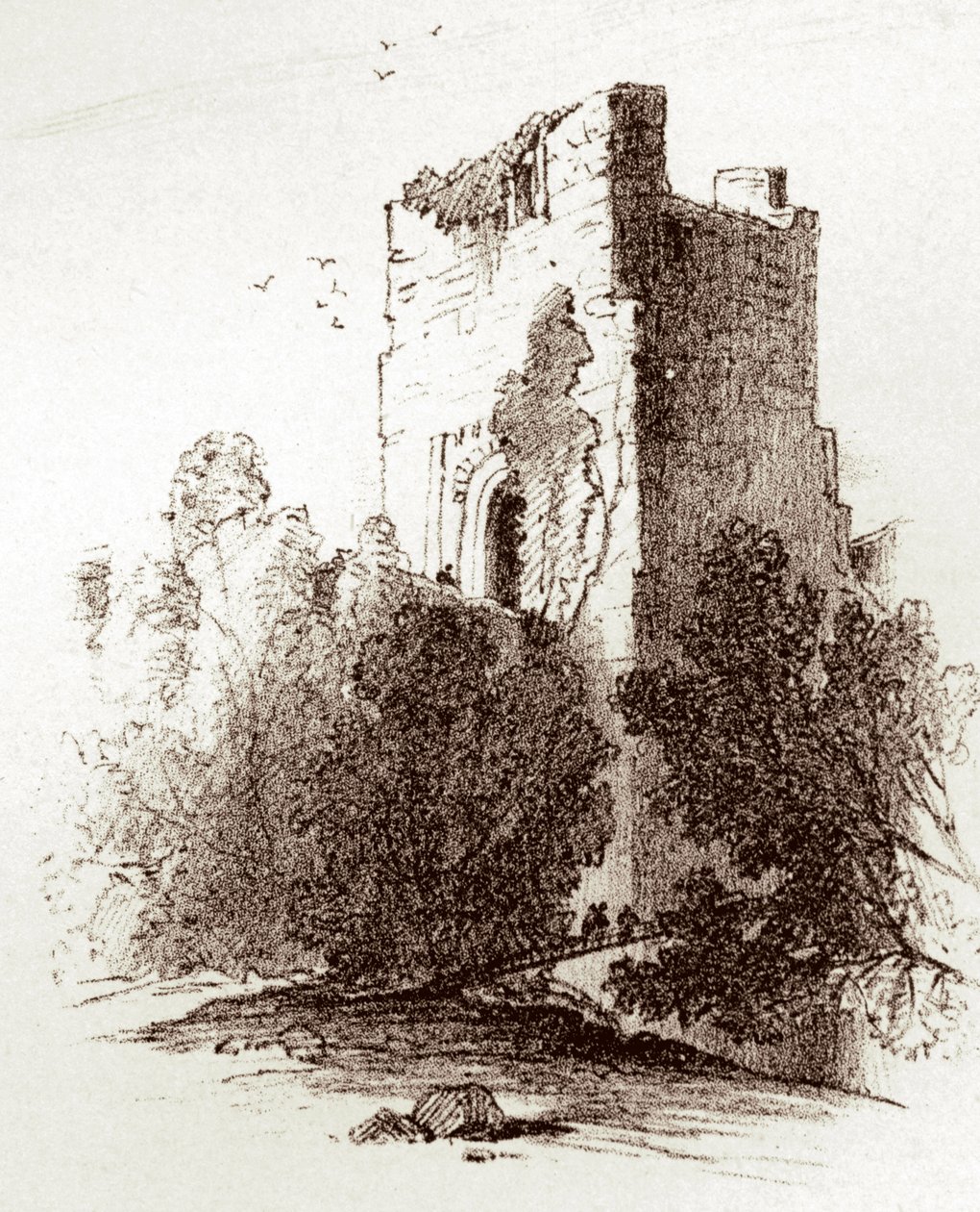 Farnham Castle (gravering) av Unknown artist