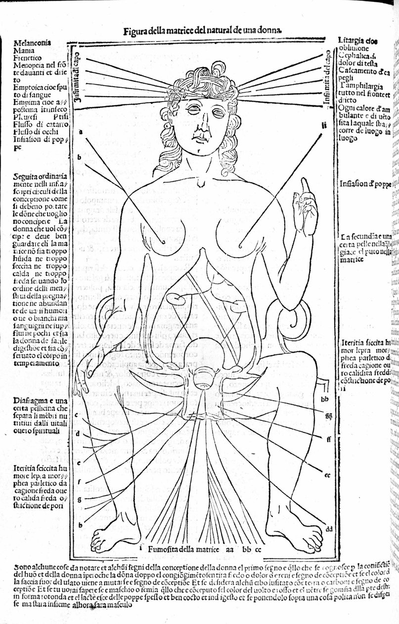 Kvinnelig reproduksjonsapparat - i Treatise of Medicine av Gerolamo Cardano (Cardano) (Cardanus Hieronymus), Firenze 1585. av Unknown artist