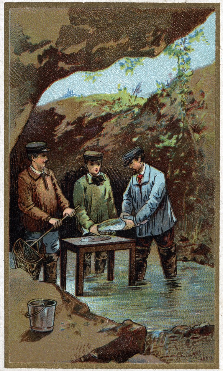 Fish farming: artificial laying. Chromolithography from the end of the 19th century av Unknown artist
