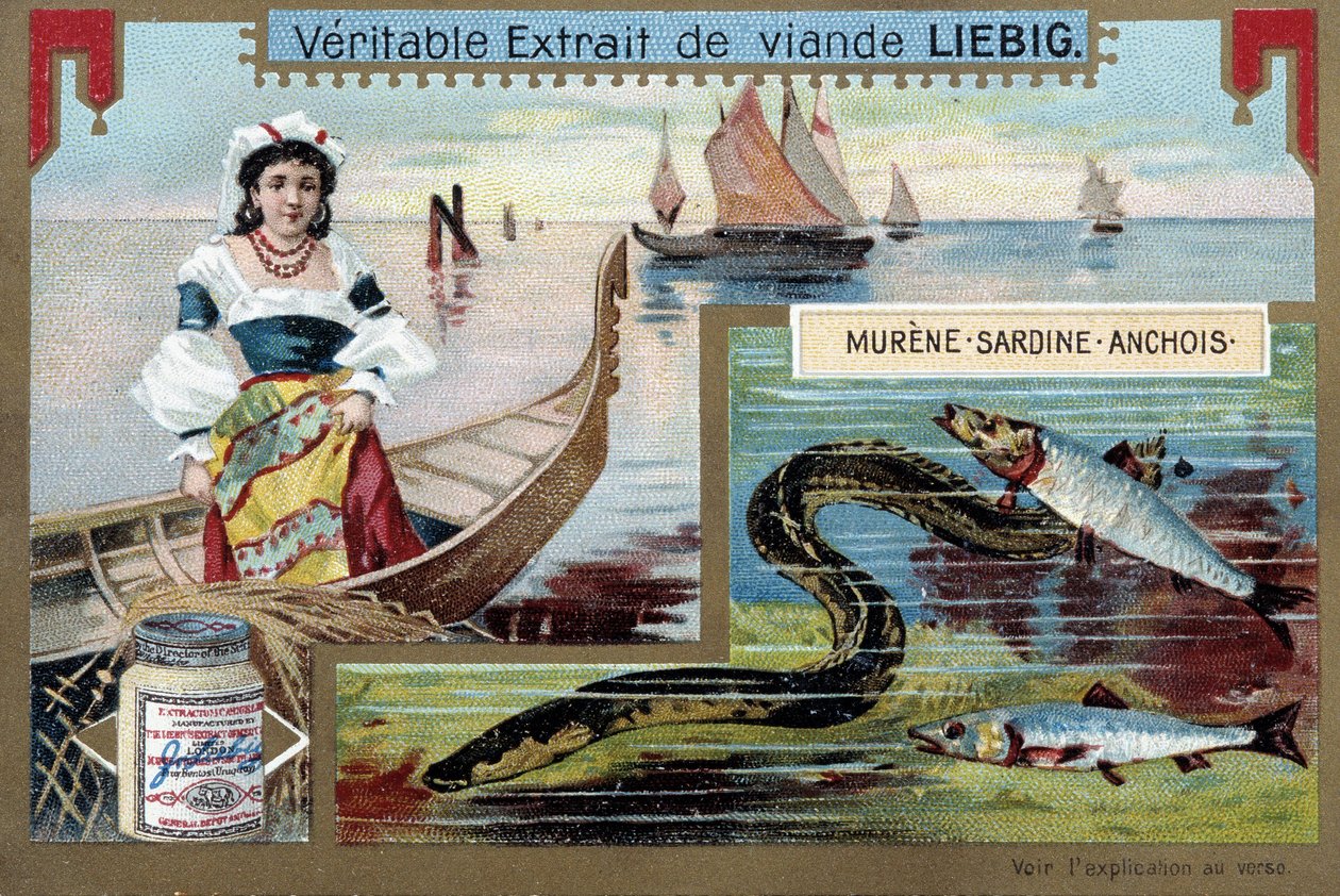 Fiskebåter og fisk (murene, sardin, ansjos) - chromo. Liébig, v.1900 av Unknown artist