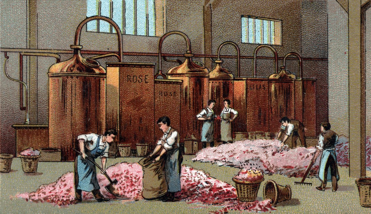 Flower distillery for the production of petrol and water of Flowers. Chromolithography of the late 19th century av Unknown artist