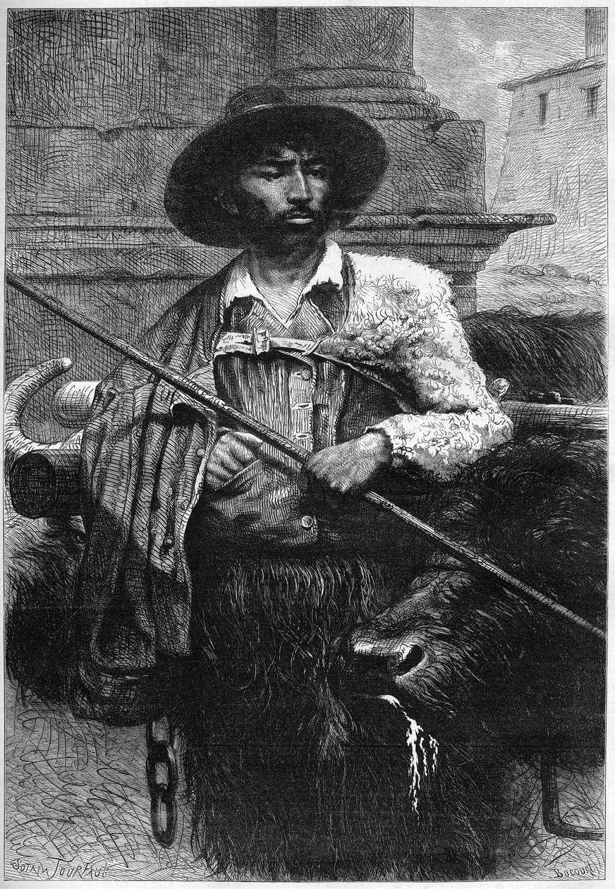 Tidligere bonde: buffali driver (bøffeloppdrett for mozzarella) Gravering i "" The Illustrous World"" av Unknown artist