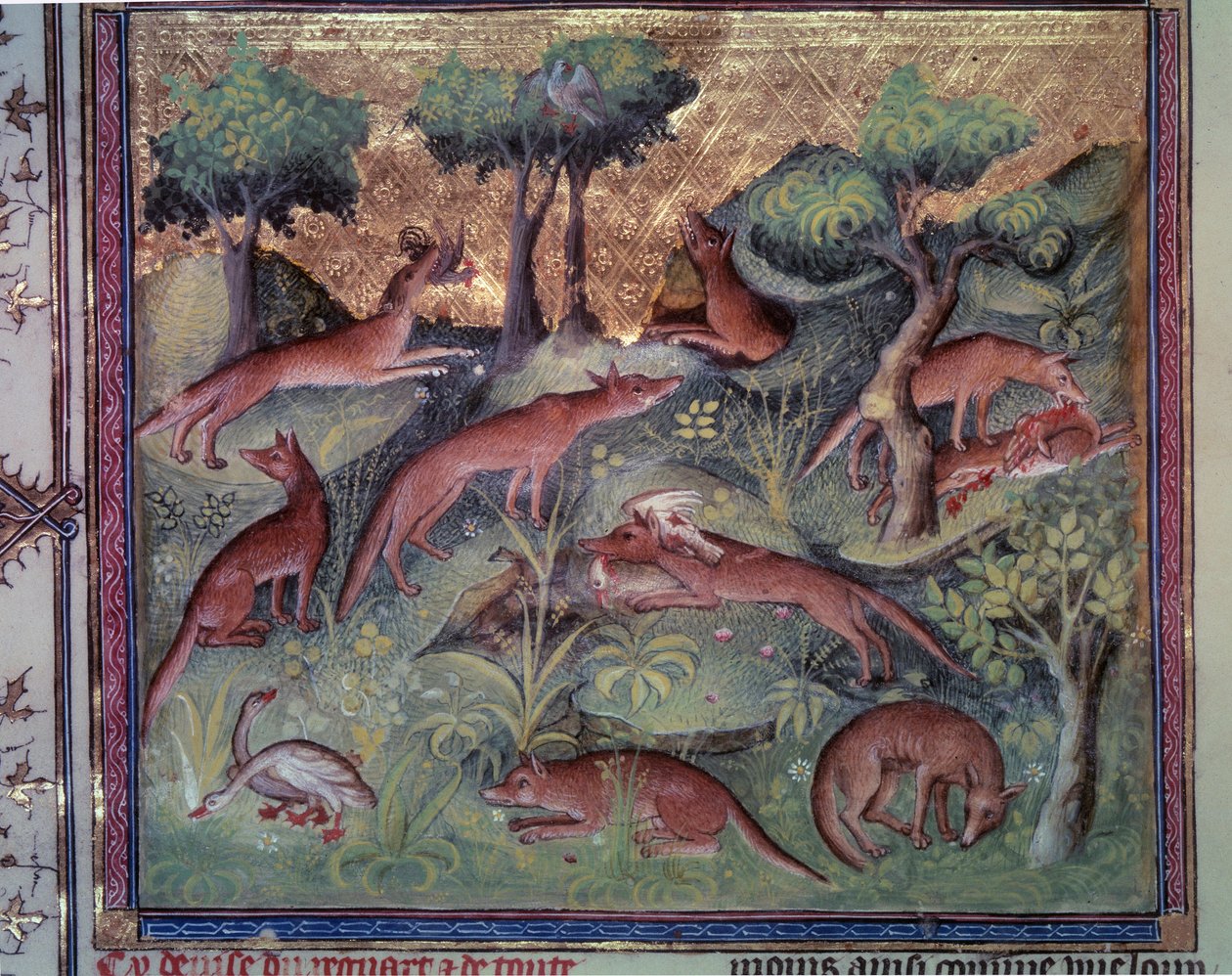 Revejakt fjærfe. Miniatyr fra manuskriptet "" Le livre de la chasse"" (folio 34v) av Gaston Phoebus (1331-1391) av Gaston III Comte De Foix av Unknown artist