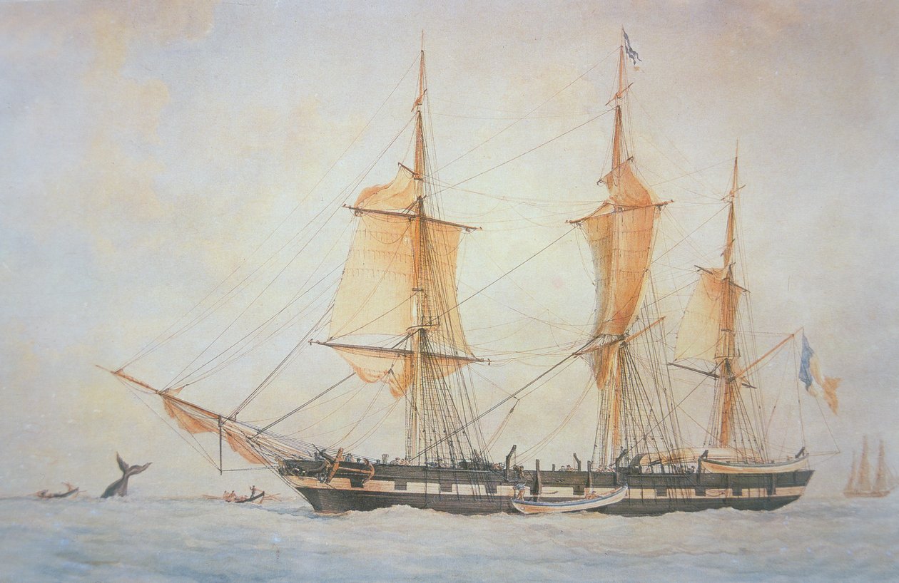 Fransk hvalfangstskip, ca. 1845 (farge litho) av Unknown artist