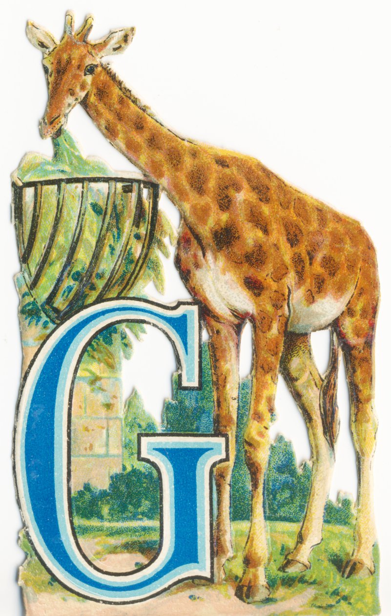 G: Giraffe av Unknown artist