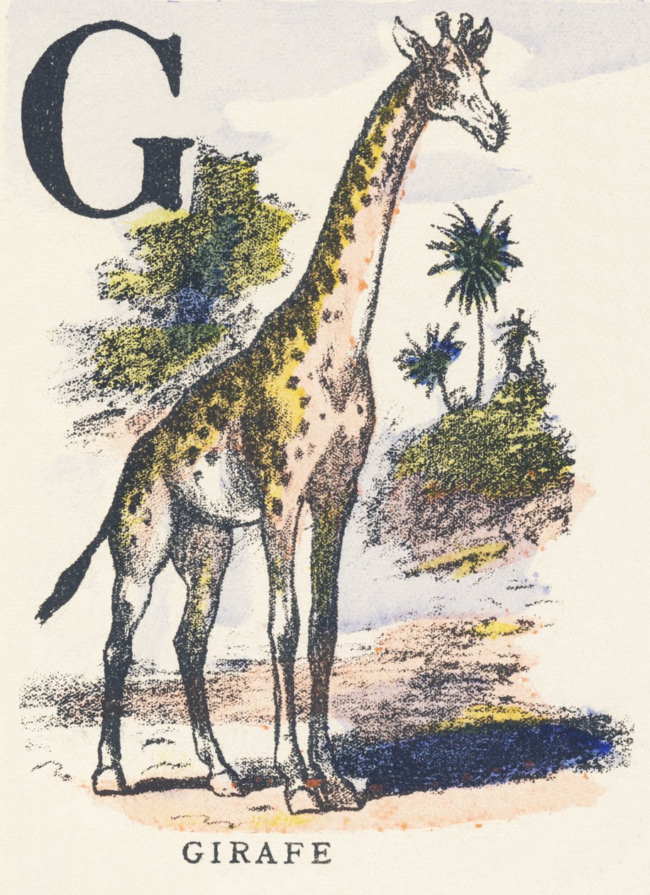 G: sjiraff av Unknown artist