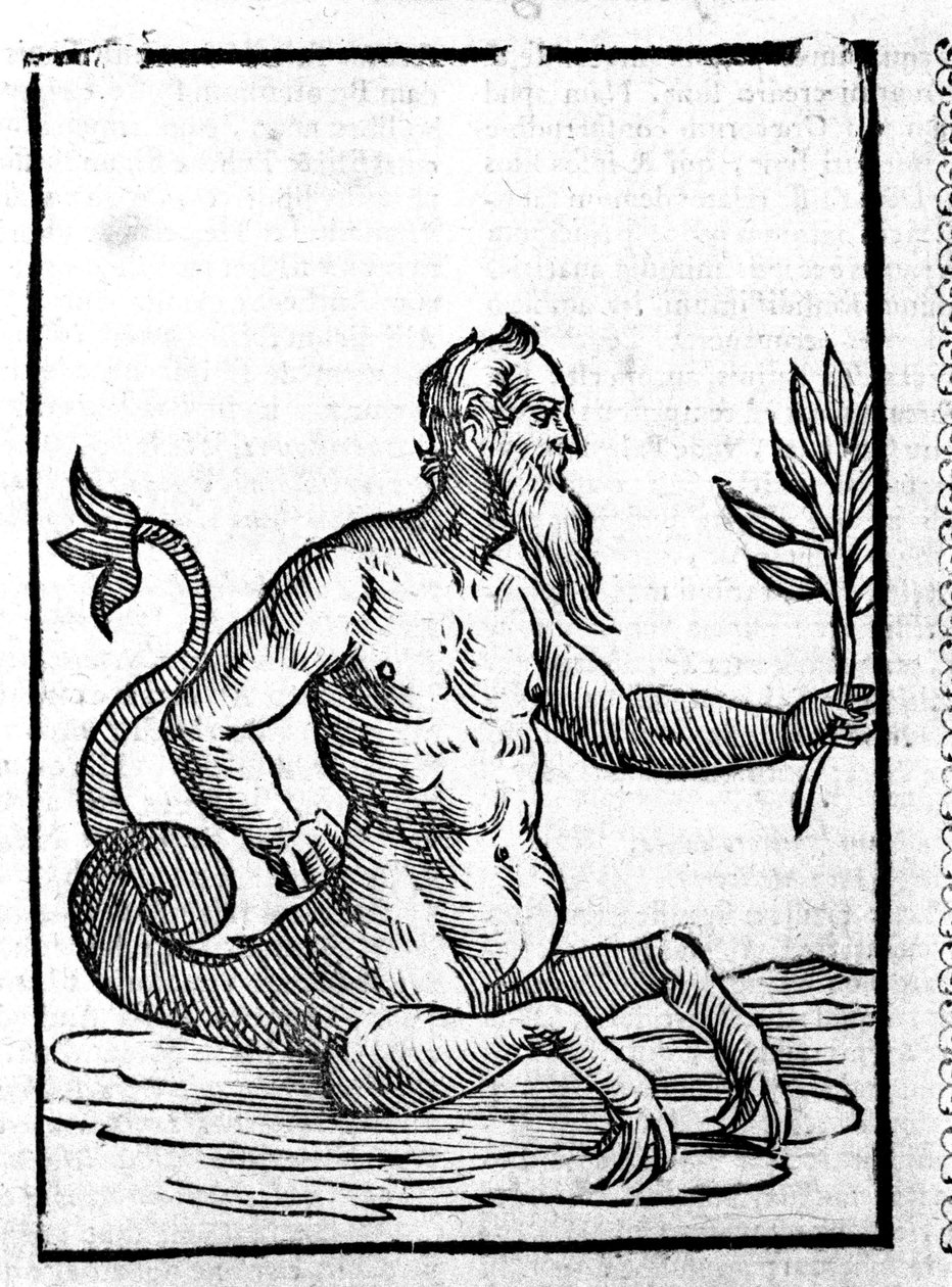 Glaucos med det magiske gresset som vil tillate ham å leve i havet - i Mythologiae sive explanationum fablerum de Natalis Comitis. Patavia av Unknown artist