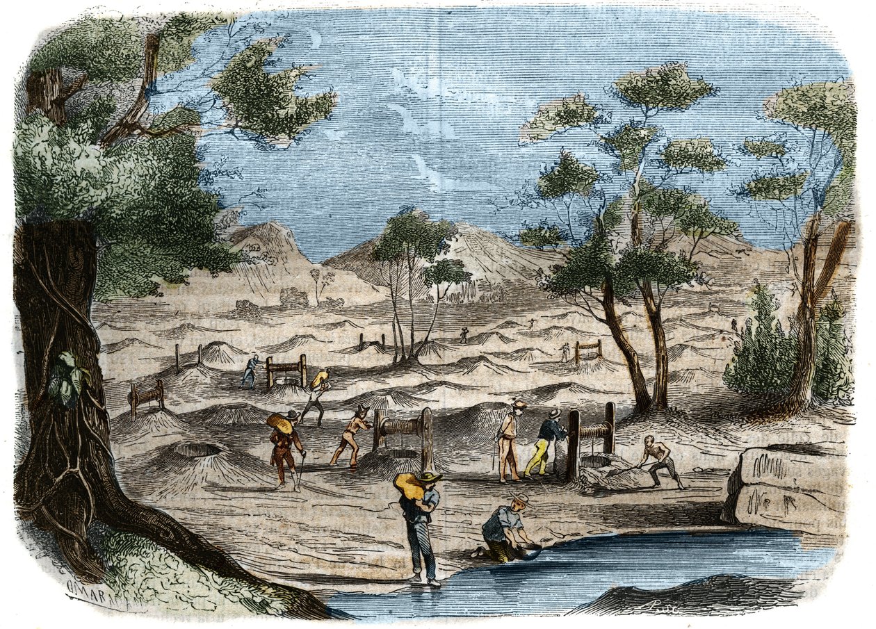Gold Rush i Australia: synet av prospektører i gullfeltene i byen Bendigo. Gravering fra 1856 i "" Le Musee Des Sciences"" av Unknown artist