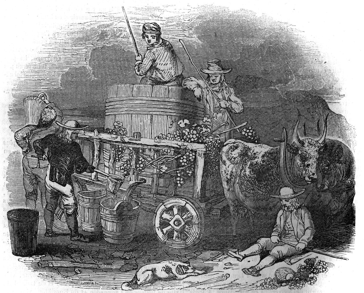 Høstmaskin i Pola (Pula) (Istria) i Kroatia på 1800-tallet. av Unknown artist