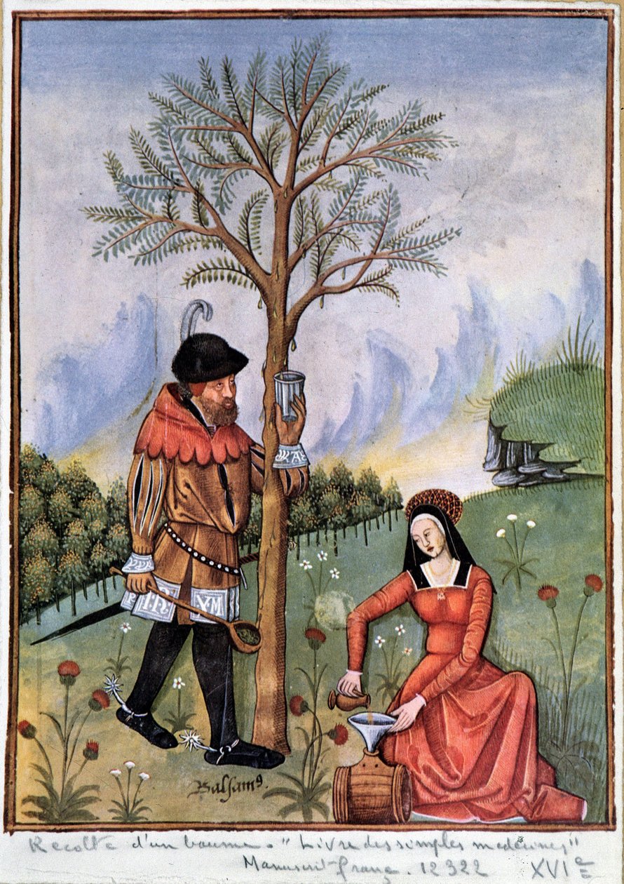 Å høste en balsam - Bok med enkle medisiner av Unknown artist
