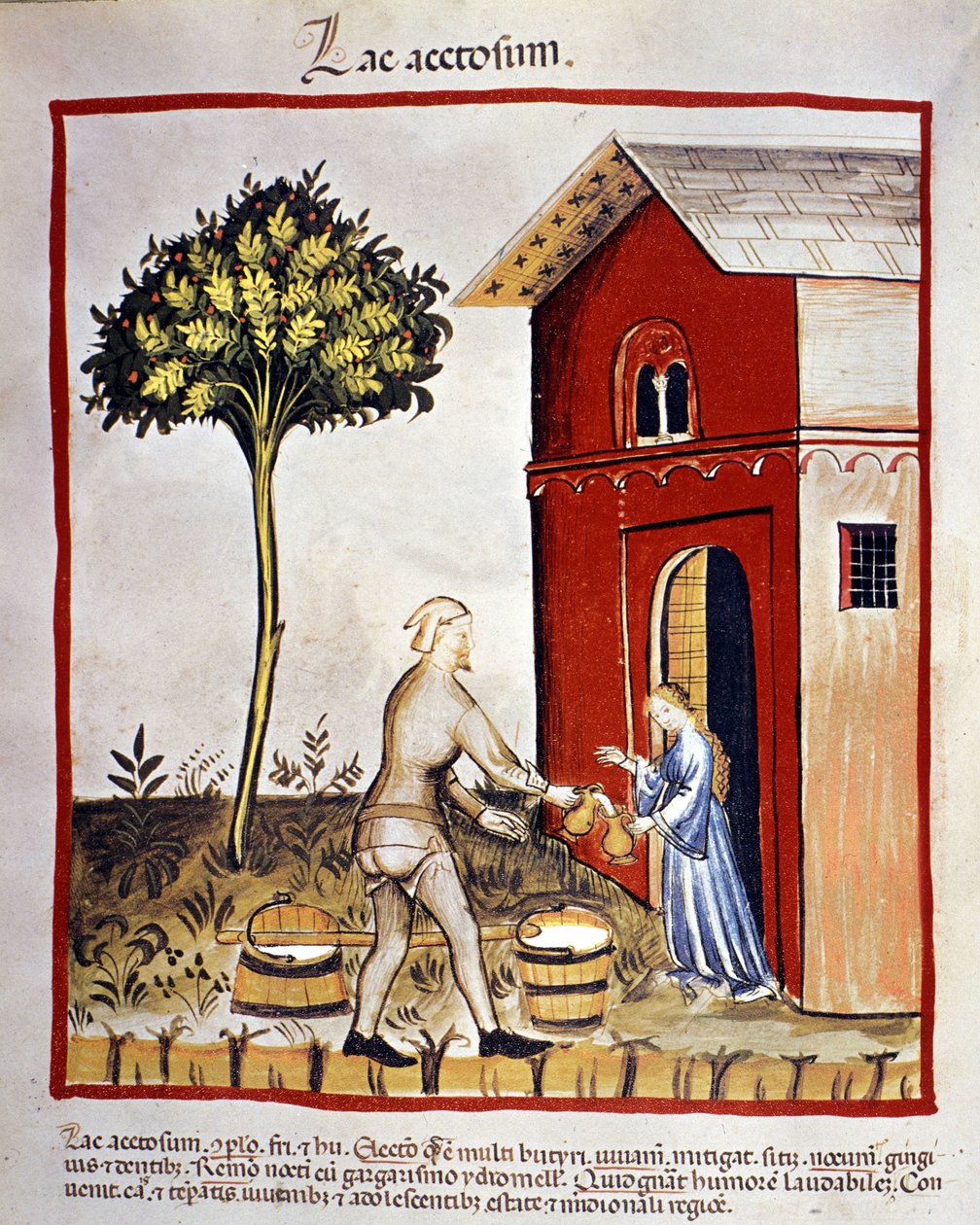 Historie om meieriprodukter: distribusjon av yoghurt (acetosium lake). Belysning fra "Tacuinum sanitatis" av Unknown artist
