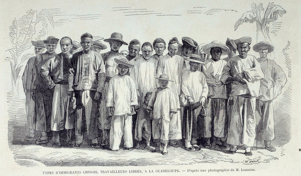 Historien om de franske koloniene: Kinesiske immigranter som jobber i Guadeloupe. Tegning etter fotografi av Chartres musee des Beaux Arts på slutten av 1800-tallet av Unknown artist