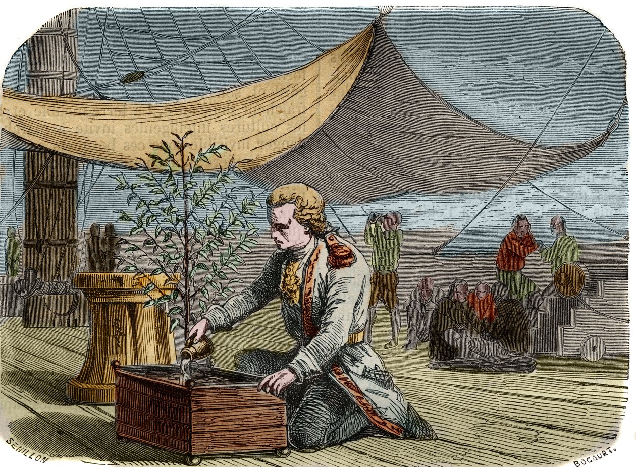History of the cafe: Captain Gabriel de Clieu (Declieux, Desclieux) (1687/1678- circa 1774), commissioned by King Louis XIV in 1725 to bring back to Martinique a coffee plant (coffee maker), shares with him his ration of water to save him from drying. Engr av Unknown artist