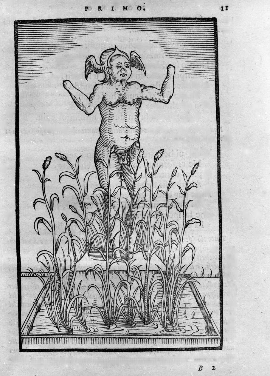 Homme sans bras - i "The Transmutatione Metallica Sogni Tre" av Giovanni Battista Nazari, redigert i Brescia i 1599 av Unknown artist