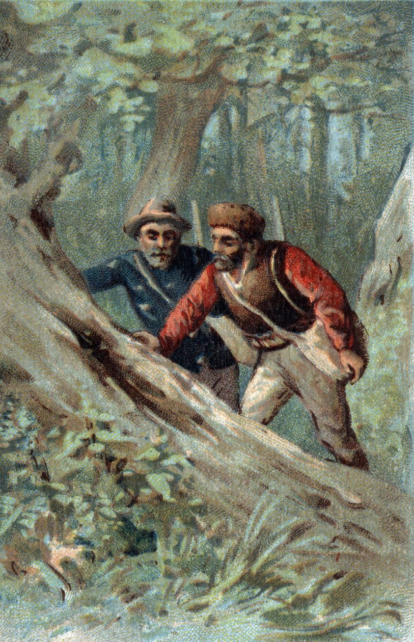 Honningjegere i Canada på jakt etter et svermtre. Kromolitografi på slutten av 1800-tallet. av Unknown artist