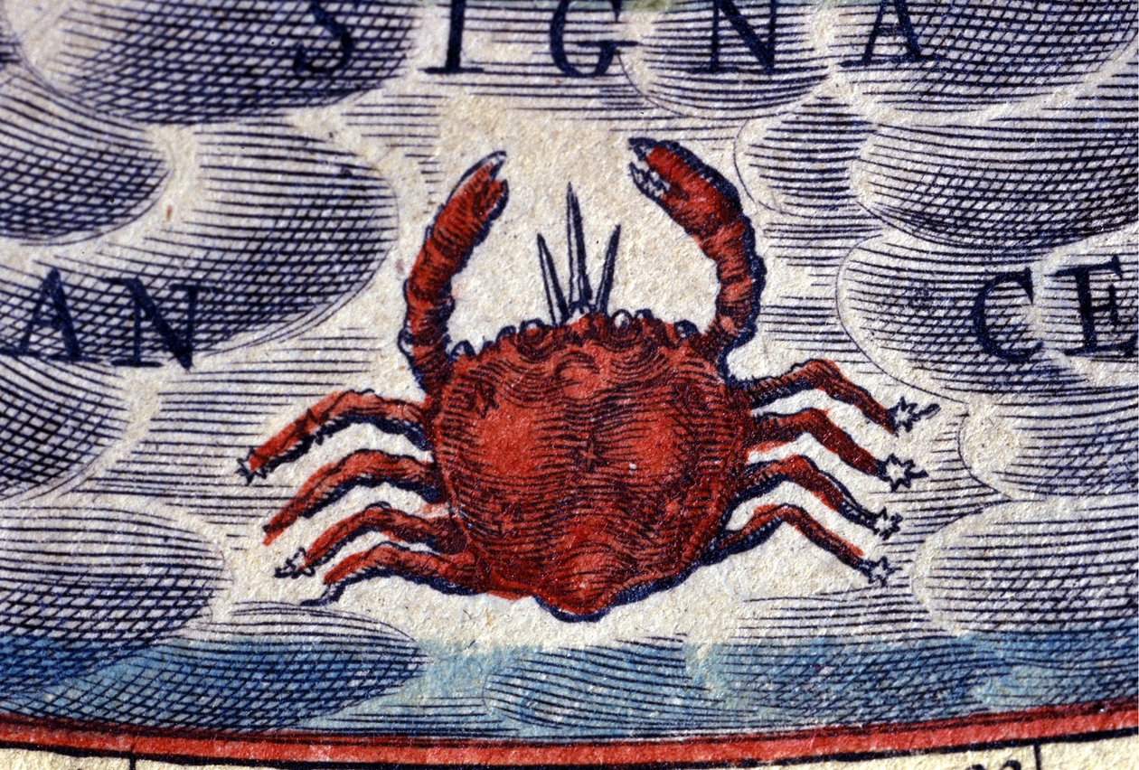 Horoskop: dyrekretsens tegn, Kreft. 1500-talls gravering. av Unknown artist