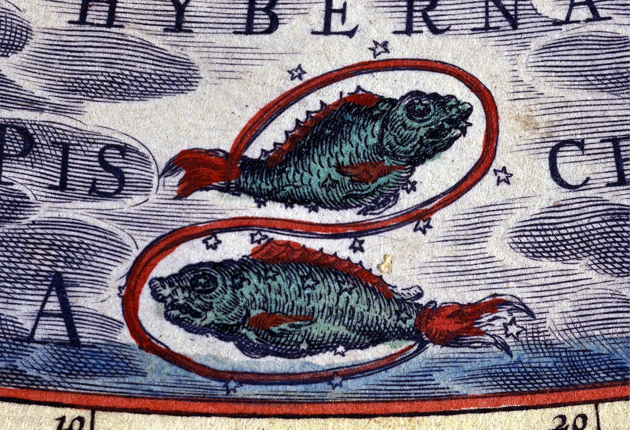 Horoskop: dyrekretsens tegn, Fiskene. 1500-talls gravering. av Unknown artist