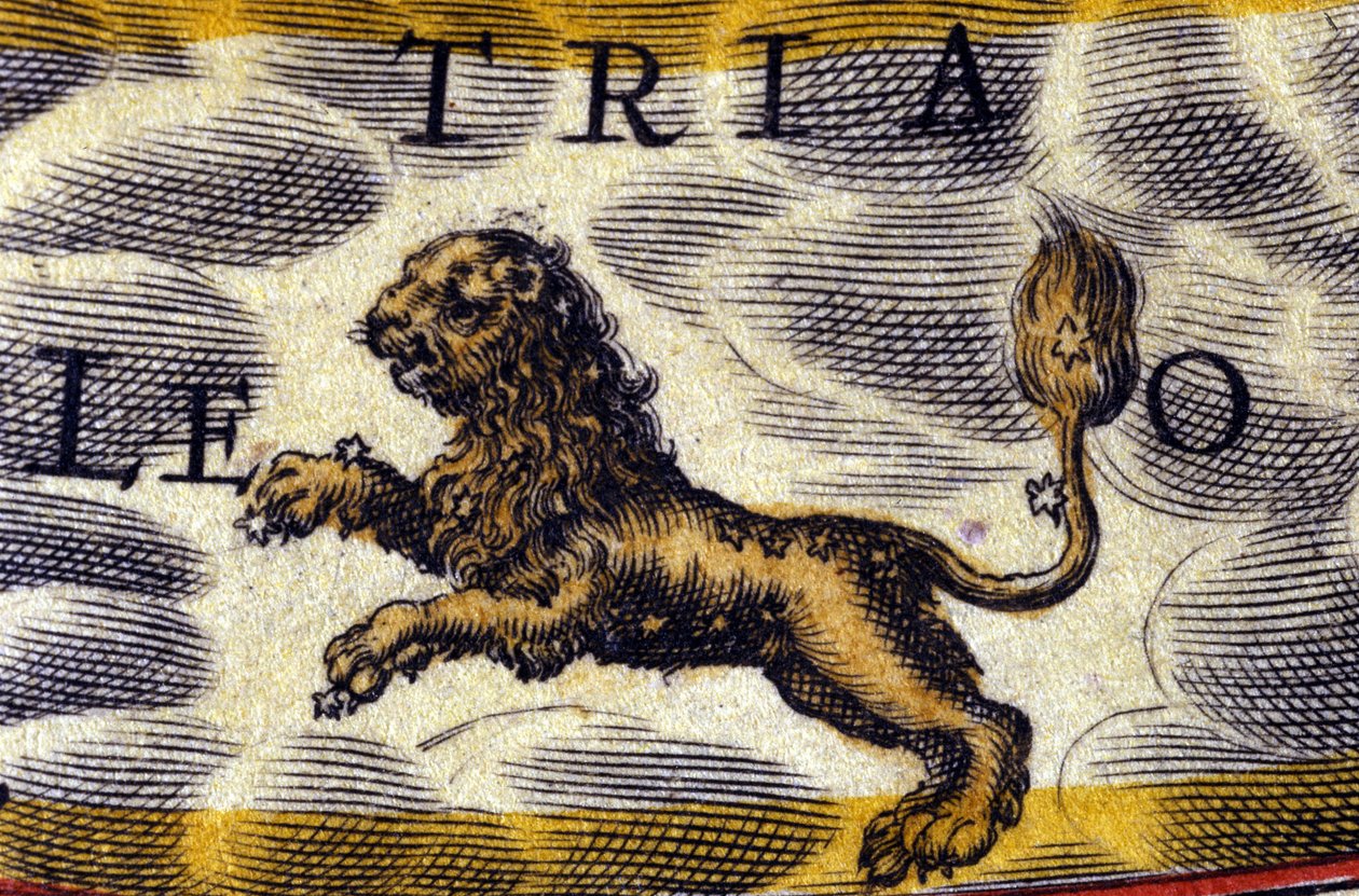 Horoskop: dyrekretsens tegn, løven. av Unknown artist