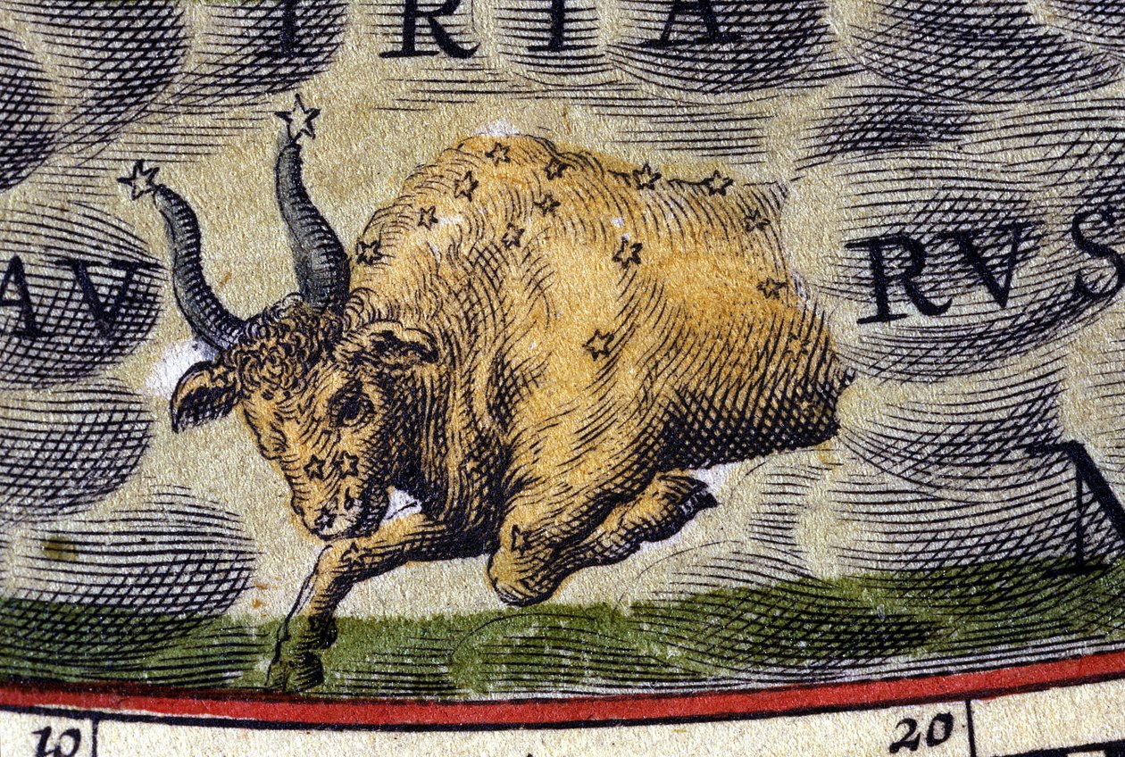 Horoskop: dyrekretsens tegn, Tyren. av Unknown artist
