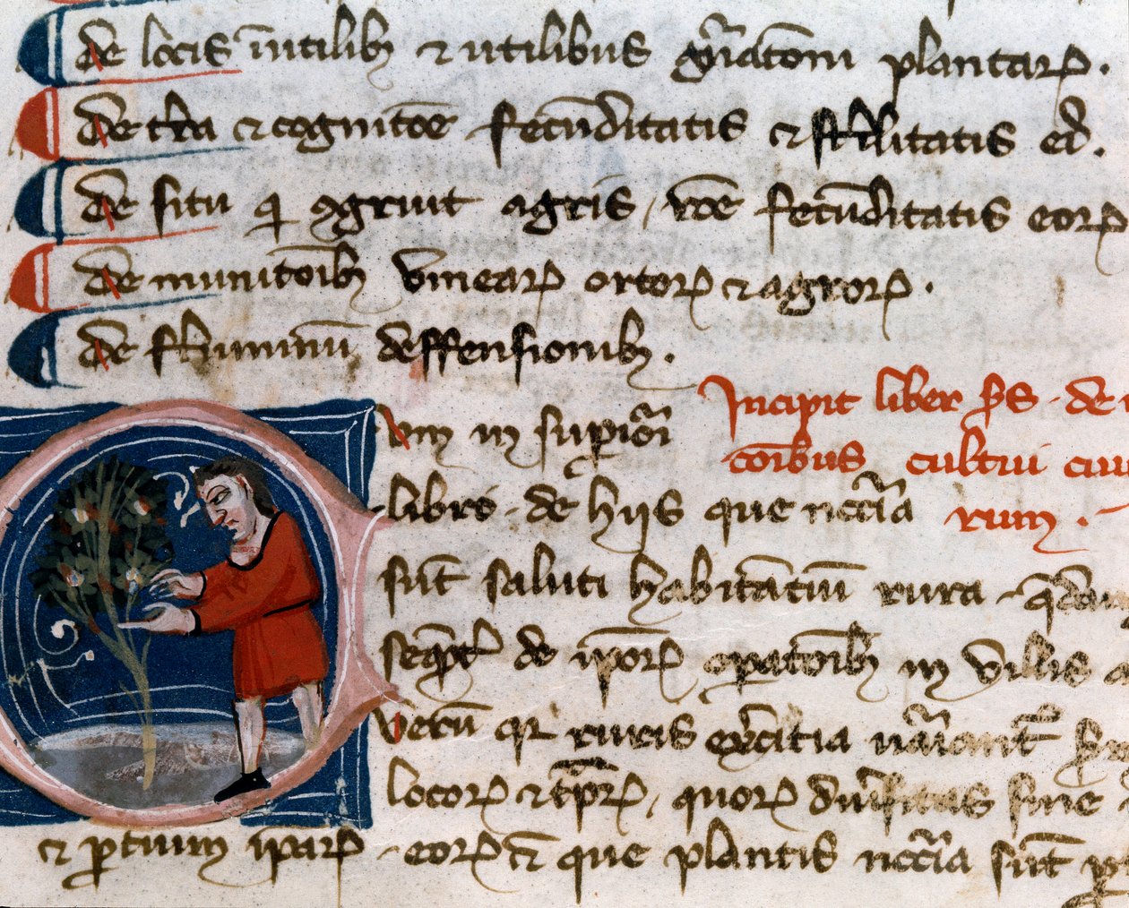 Hagebruk: høsting av frukt. Detalj. Manuskriptside (MS.s.vi) "" Agrarian Treat "" av Pietro de Crescenzi (Crescent Stone eller Crescens Stone) (1233-1320) 1300-tallet Cesena, Biblioteca Malatestiana av Unknown artist