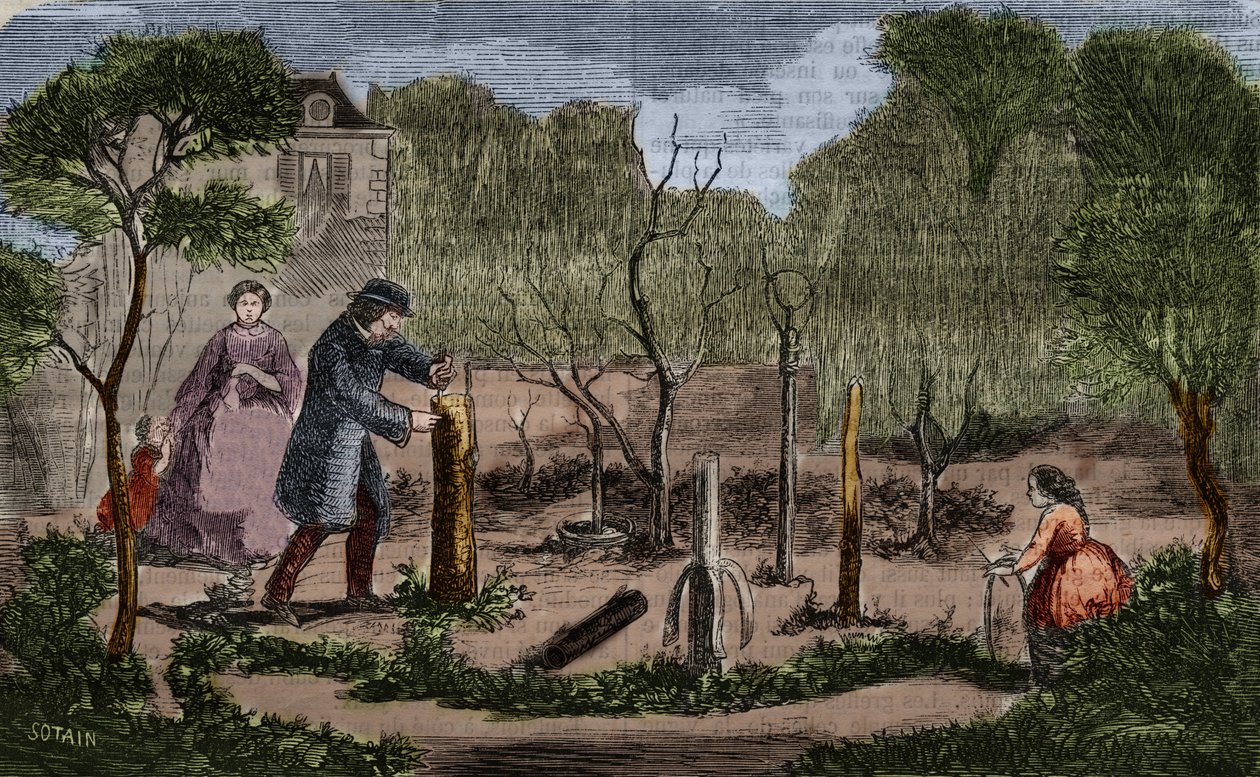 Hagebruk: hovedmetoder for plantetransplantasjon. 1860 gravering. av Unknown artist