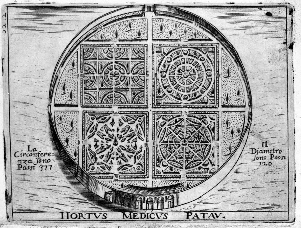 Garden of Padua: Medical Garden of Padua. av Unknown artist