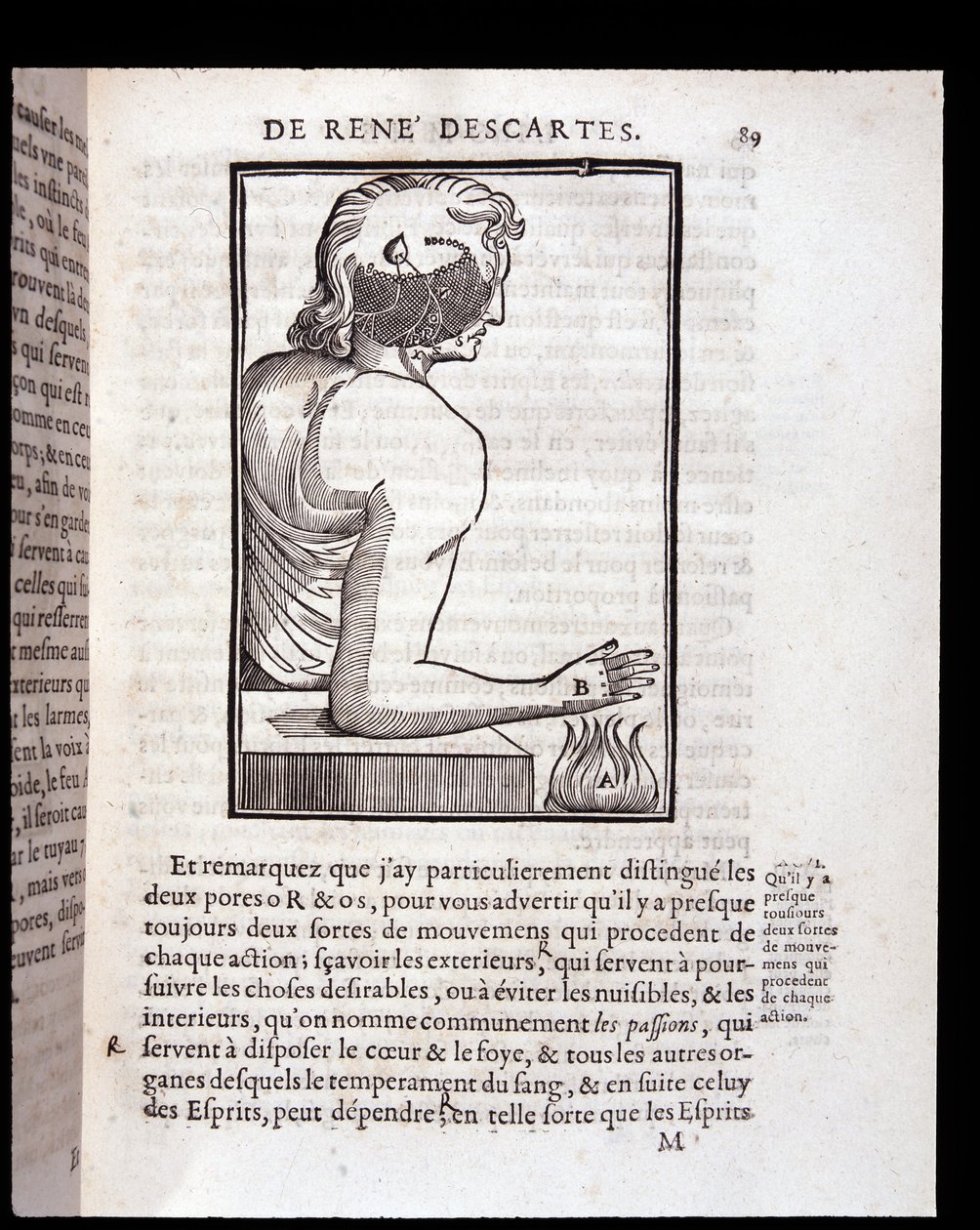 Menneskets sansesystem kobles til hjernen - i "Rene Descartes' mann og dannelsen av fosteret", Paris av Unknown artist