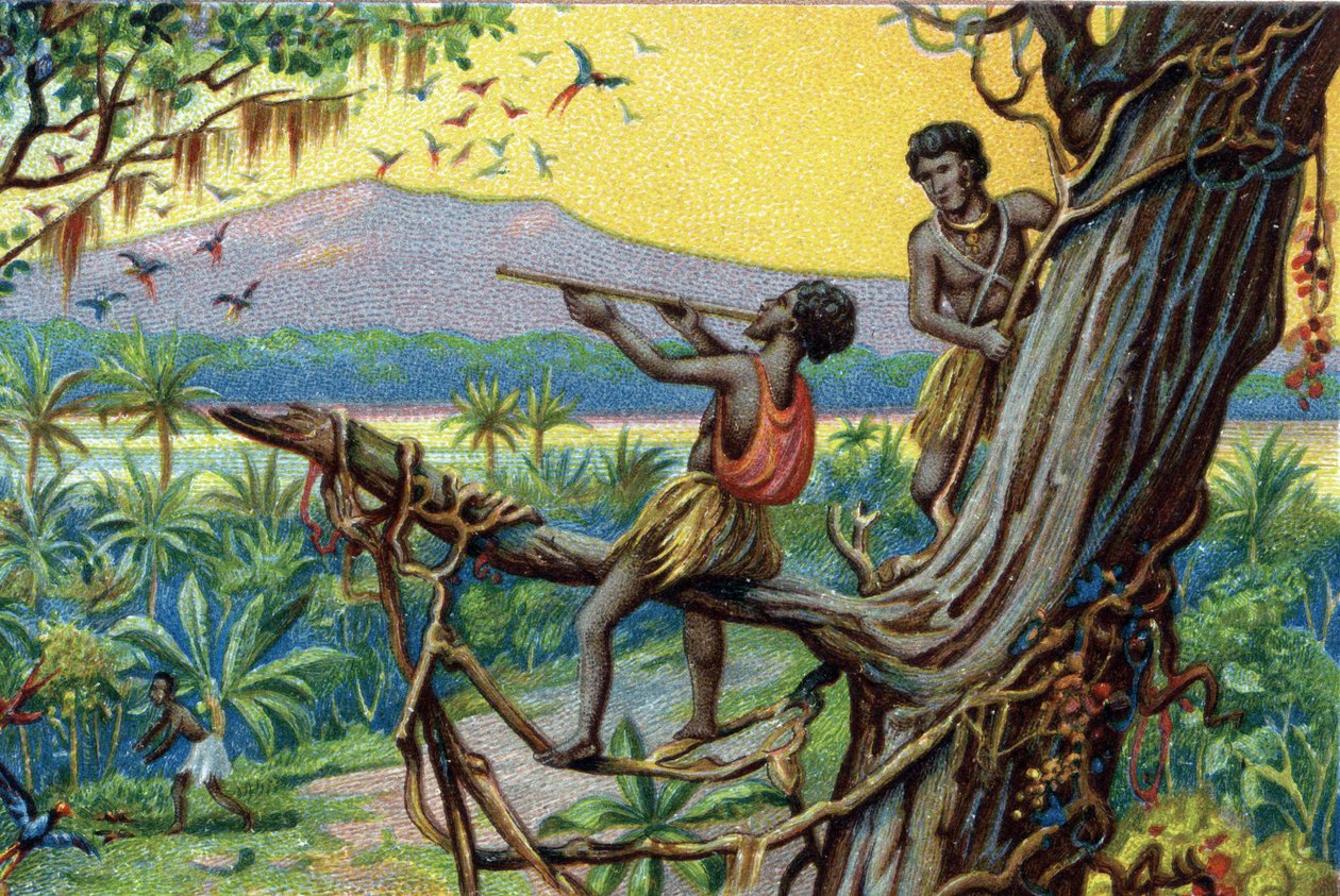 Hunting technique. Hunting hummingbirds in the Polynesian archipelago: the inhabitants use bites. Chromolithography of the 19th century. av Unknown artist