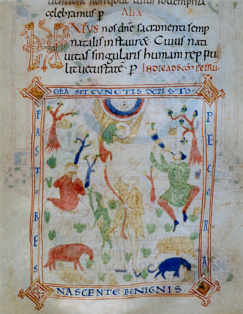 Opplyst side med sauer og gjetere, en del av Codex of Varmondo, C.1000 av Unknown